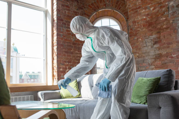 Why You Should Choose Our Mold Remediation Services in Church Hill, MD